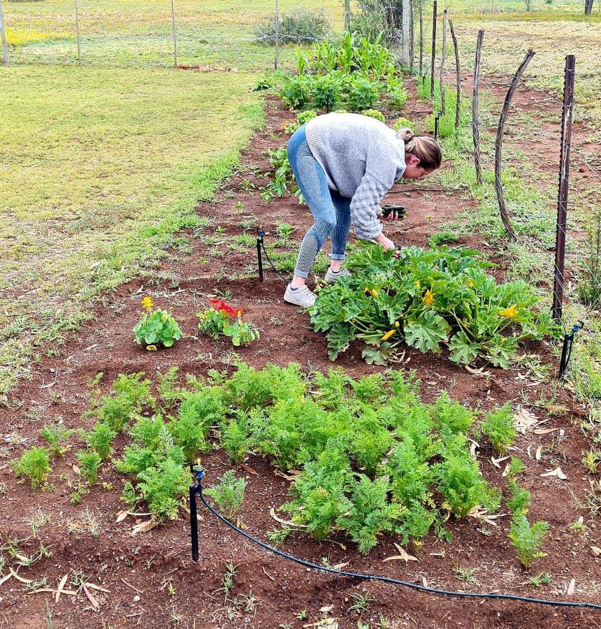 Hotel Little Farms Colesberg Zewnętrze zdjęcie